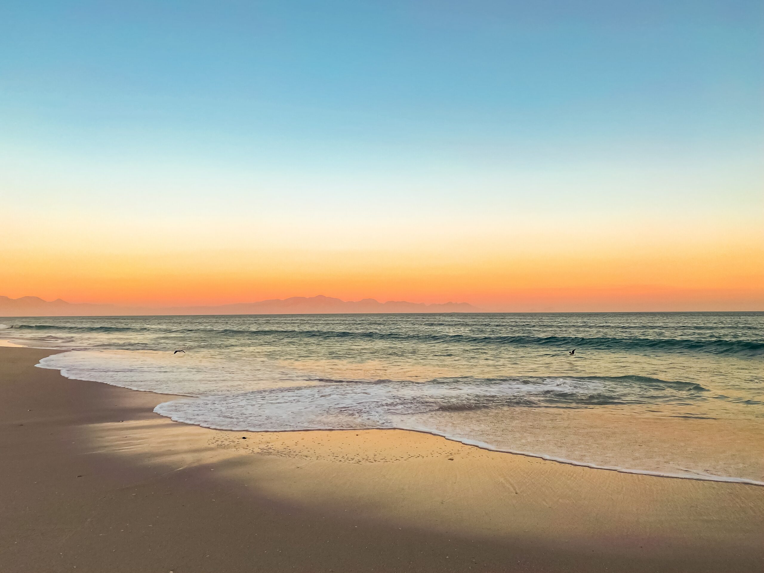 Imagen de Referencia